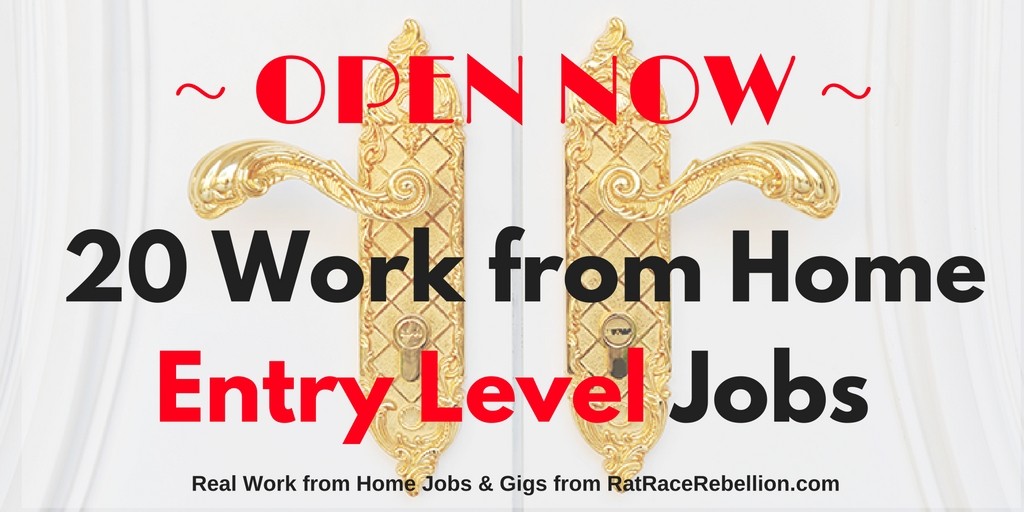 10 Work from Home Entry Level Jobs Open NOW (1)