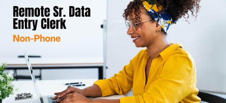 Non phone Sr. Data Entry Clerk