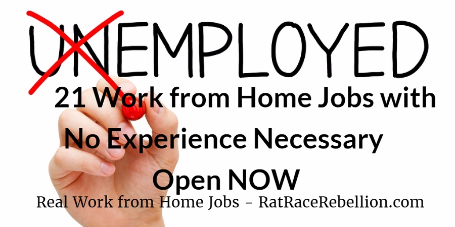 work from home jobs san antonio no experience