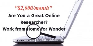 Are you a great researcher? Work from Home for Wonder - RatRaceRebellion.com