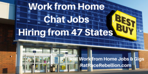 Work from Home Chat Jobs