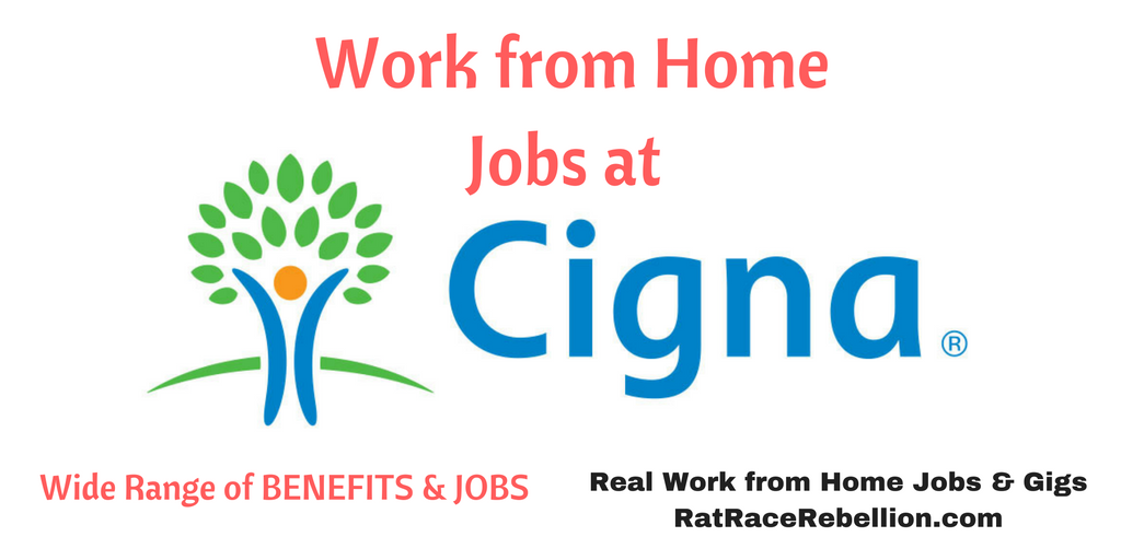 cigna work from home data entry