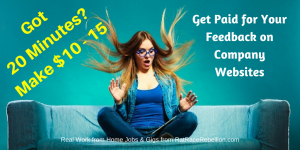 Got 20 Minutes? Make $10 - $15 for Your Feedback on Company Websites
