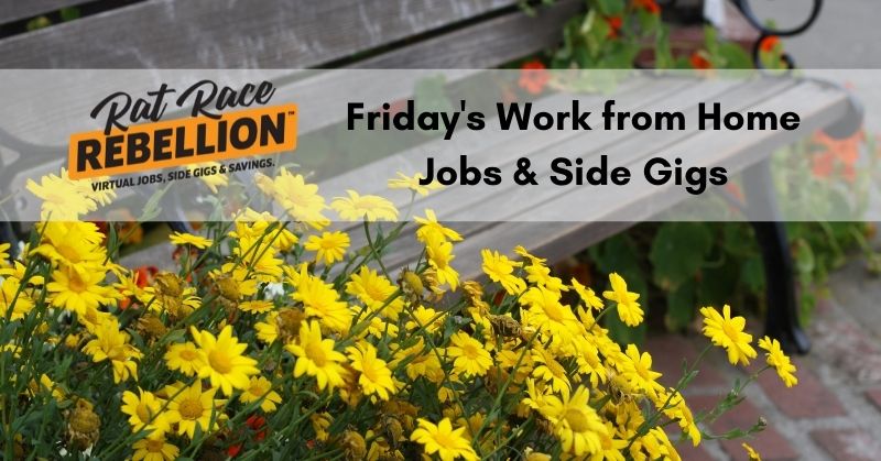 Work from Home Jobs & Extra Cash - July 30 - Aug. 1, 2021 - Work From Home  Jobs by Rat Race Rebellion