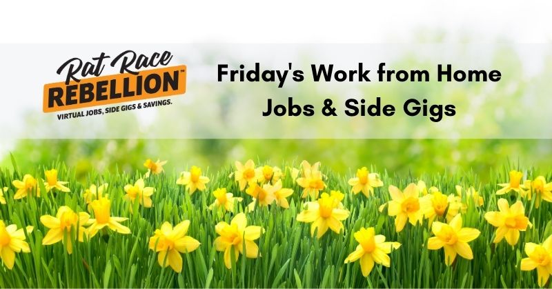 Friday's Work from Home Jobs & Gigs - Field of daffodils