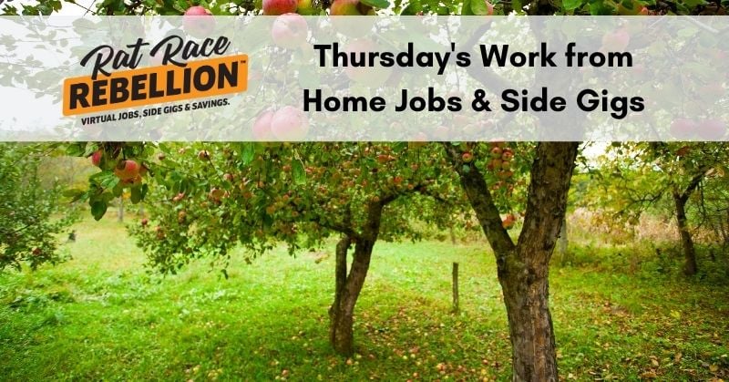 work from home jobs