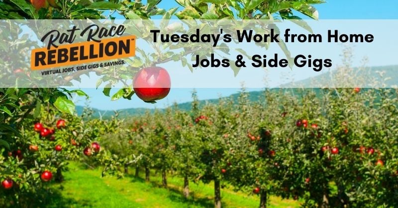 Tuesday's work from home jobs and side gigs