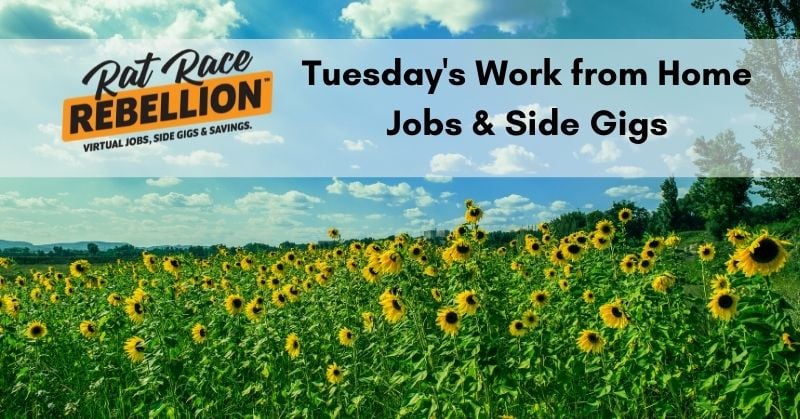 Tuesday's work from home jobs & gigs