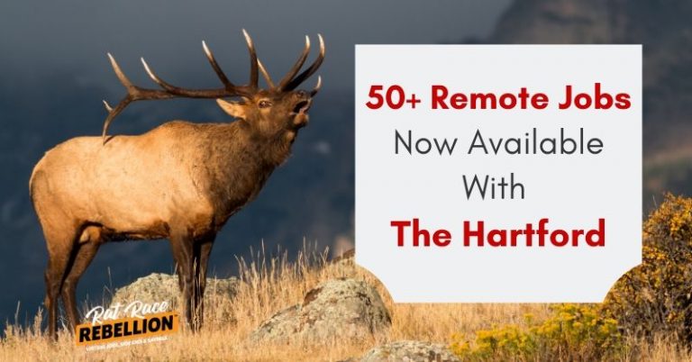 50+ Work from Home Jobs With The Hartford - Benefits, Wide ...