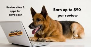 how to review websites and apps for cash