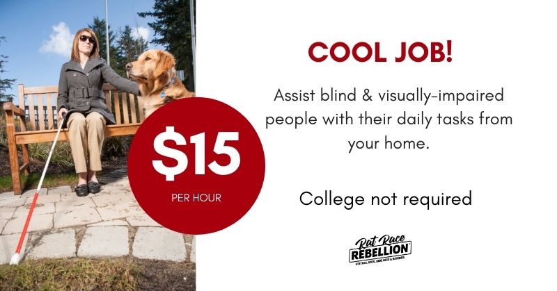 $15 - Work from Home Assisting Blind & Visually Impaired People