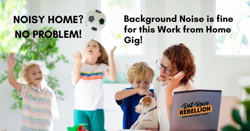 Noisy Home? No problem! Background noise is fine for this work from home Rent Surveyors gig!