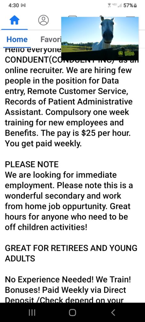 work from home scam