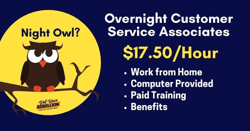 Night Owl? $17.50/Hr. Computer Provided, Benefits – Work from Home Customer Service Associates - owl on branch in front of the moon