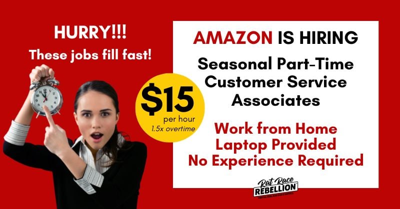 Hurry, these fill quickly! Amazon now hiring part-time seasonal customer service associates. Work from home, computer provided, no experience required