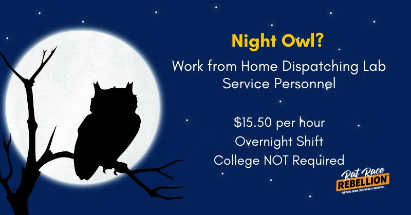 Night Owl? Work from Home Dispatching Lab Service Personnel - $15.50 per hour; College NOT Required