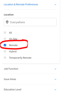 screenshot of the Idealist.org job search page with the remote option selected