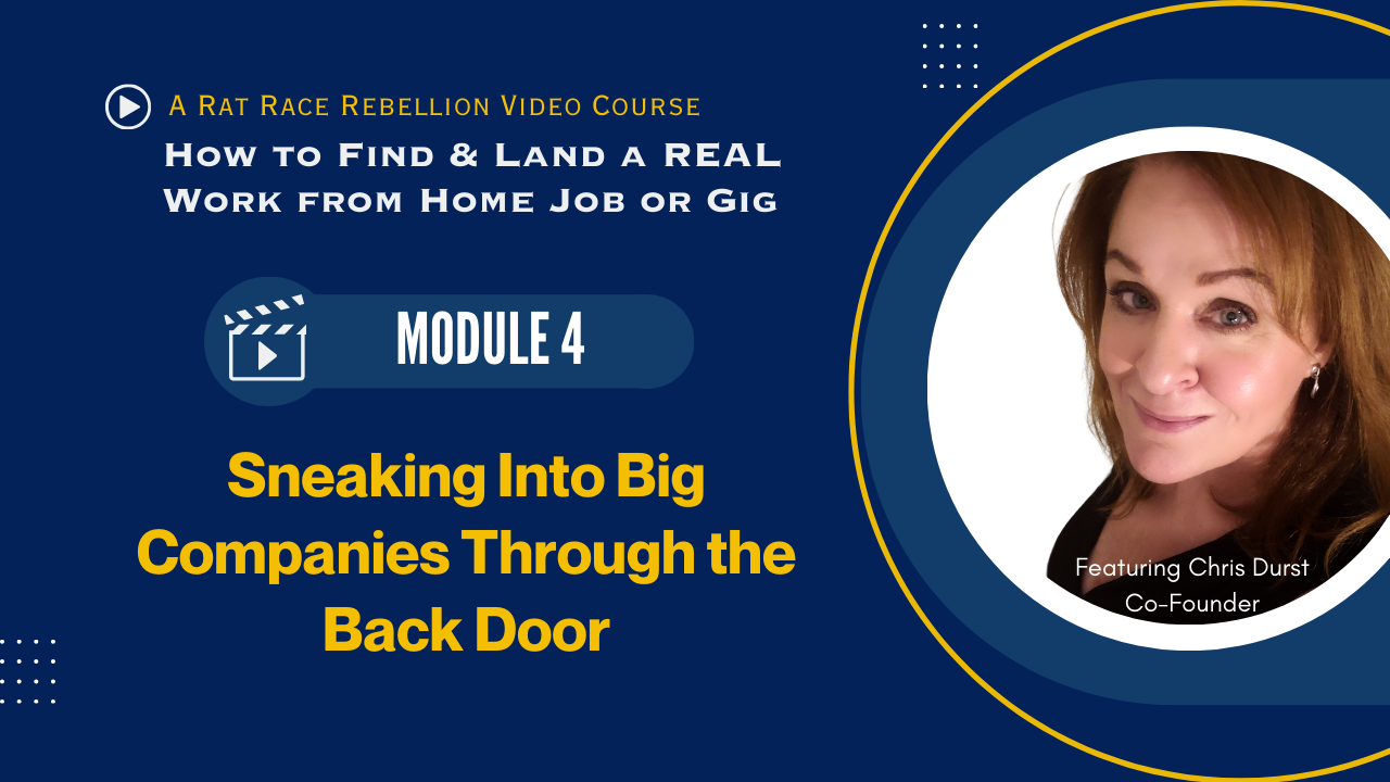 RRR video course Module 4 Sneaking Into the Back Door of Big Companies(2)