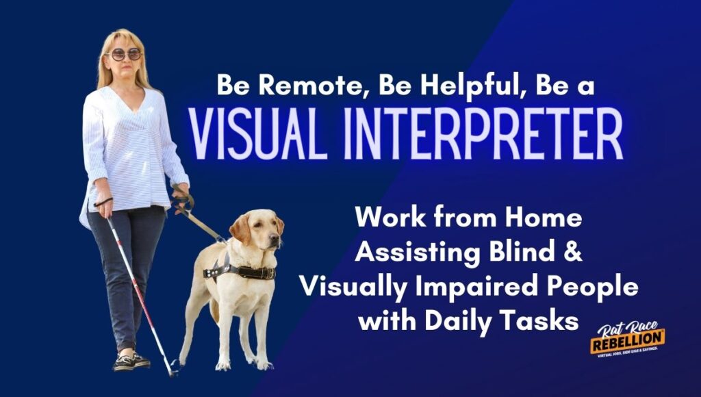 Remote Job Assisting Blind and Visually Impaired People with Daily