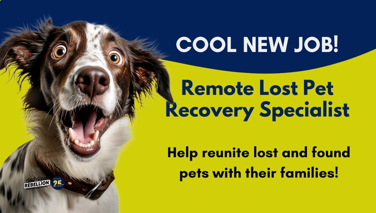 Remote Lost Pet Recovery Specialist Petkey