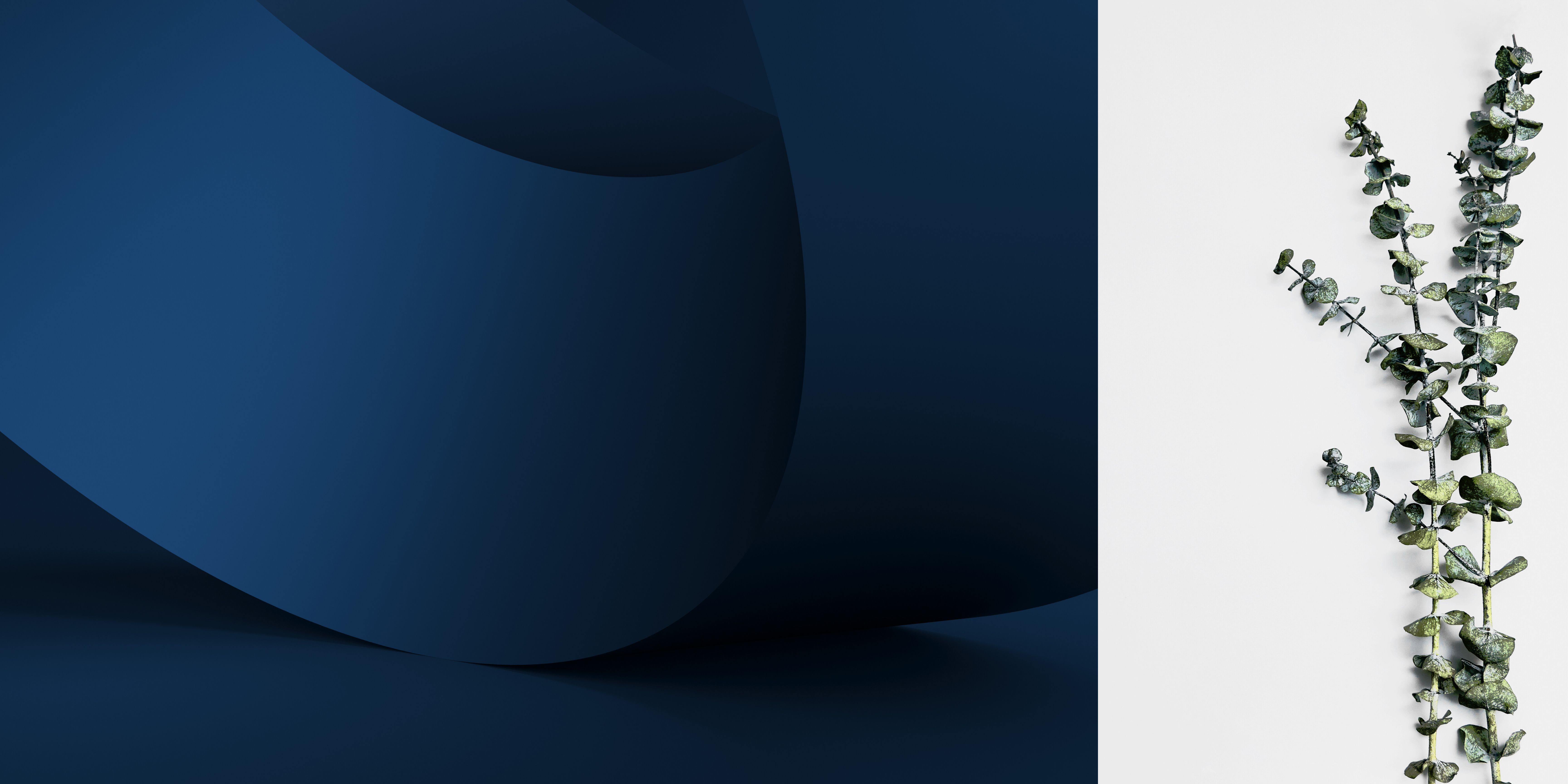 Copy of Behind the Listings