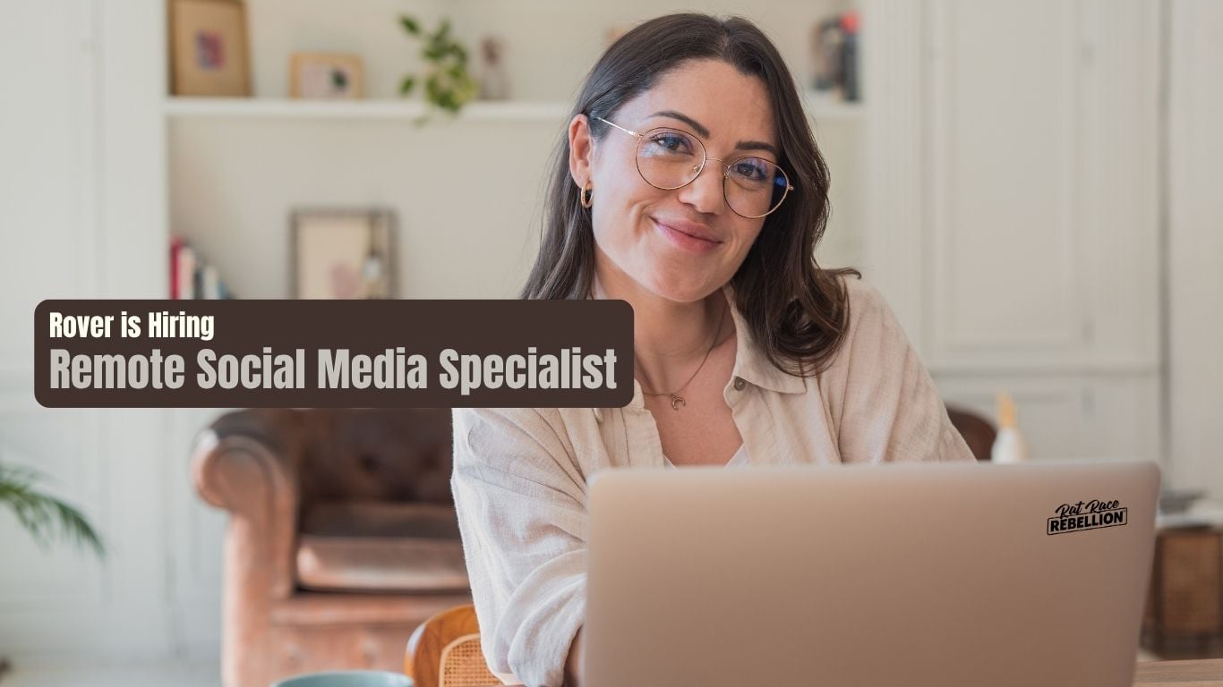 Rover Social Media Coordinator Featured Opportunity