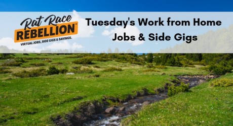 Work from Home Jobs & Extra Cash – May 8, 2017
