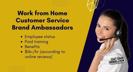 Work from Home Customer Service Brand Ambassadors Activus Connect(1)