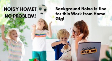 Noisy Home? No problem! Background noise is fine for this work from home gig!
