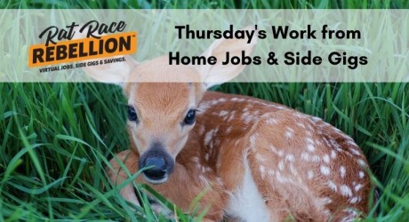 Thursday's work fro home jobs and gigs